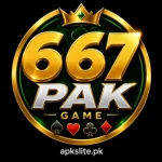 667PAK Game