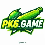 pk6 game