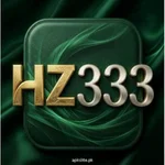HZ333 Game